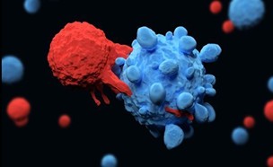 HCB101-Shows-Clean- Cytopenia-Sparing-Safety