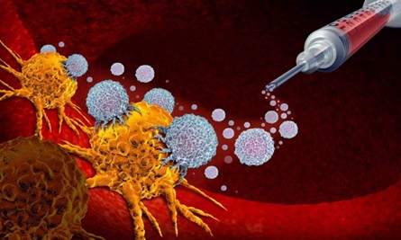 HanchorBio to Present Interim Clinical Data at ASCO 2025 Annual Meeting 漢康生技將於2025年美國臨床腫瘤學會（ASCO）年會發表HCB101初步臨床數據
